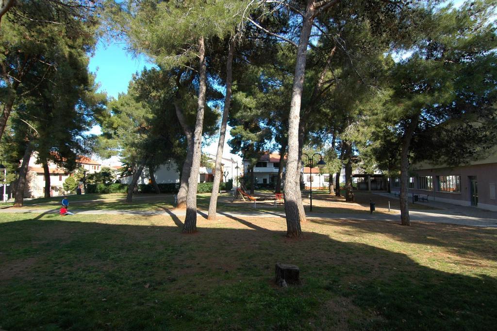 Faber Apartments Novigrad Istria Habitación foto
